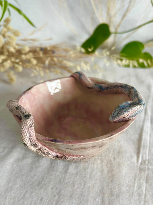 𝗜𝗻𝘁𝗿𝗼𝘀𝗽𝗲𝗰𝗰𝗶𝗼𝗻 𝗕𝗼𝗹