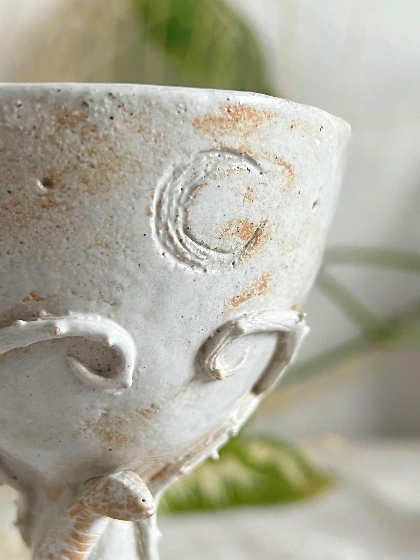 𝗦𝗮𝗰𝗿𝗲𝗱 𝗕𝗹𝗼𝗼𝗱  𝗥𝗶𝘁𝘂𝗮𝗹 𝗖𝘂𝗽