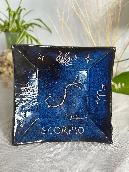 𝗘𝘀𝗰𝗼𝗿𝗽𝗶𝗼 𝗣𝗹𝗮𝘁𝗼