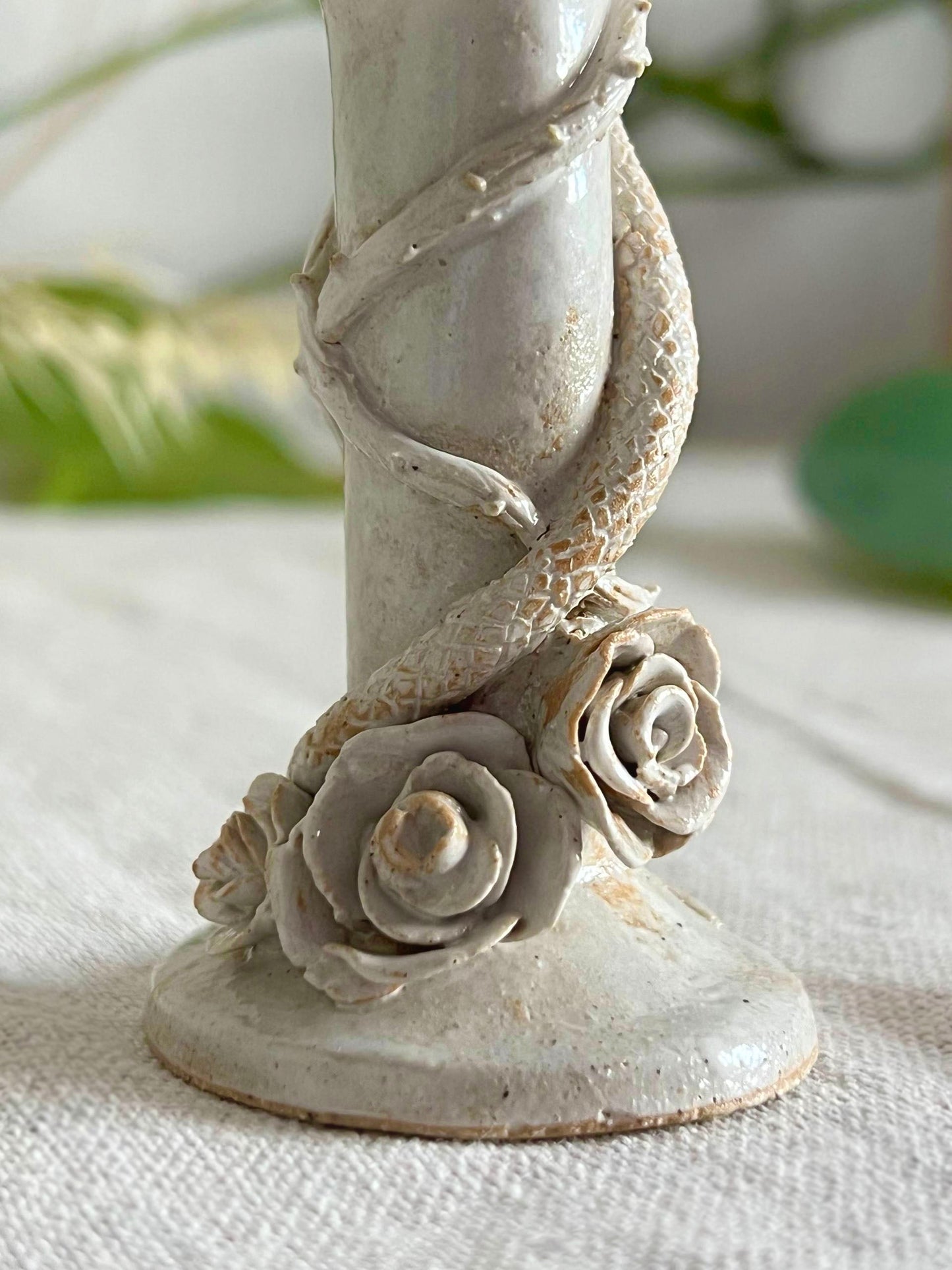 𝗦𝗮𝗰𝗿𝗲𝗱 𝗕𝗹𝗼𝗼𝗱  𝗥𝗶𝘁𝘂𝗮𝗹 𝗖𝘂𝗽